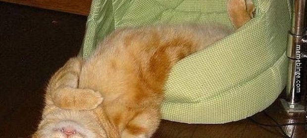 What Gets You Up In The Morning?